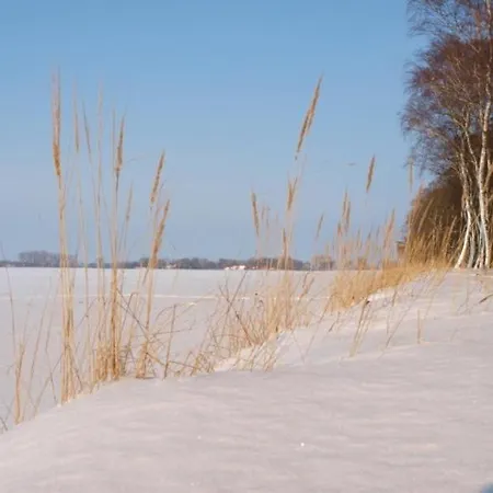 Familienfreundlicher Landurlaub Im Gutshaus 特伦特